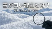 雪が白い理由とは？意外と知らない科学
