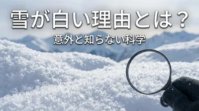 雪が白い理由とは？意外と知らない科学