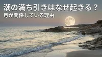 潮の満ち引きはなぜ起きる？月が関係している理由