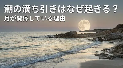 潮の満ち引きはなぜ起きる？月が関係している理由