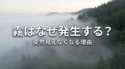 霧はなぜ発生する？突然見えなくなる理由とは