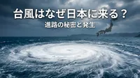 台風はなぜ日本に来る？進路の秘密と発生の理由