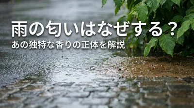雨の匂いはなぜする？あの独特な香りの正体を解説