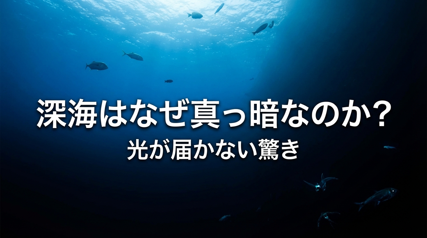 深海はなぜ真っ暗なのか？光が届かない驚きの理由