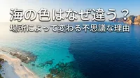 海の色はなぜ違う？場所によって変わる不思議な理由