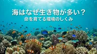 海はなぜ生き物が多い？命を育てる環境のしくみとは
