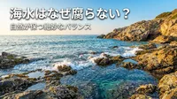 海水はなぜ腐らない？自然が保つ絶妙なバランスとは