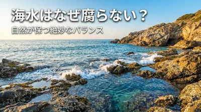 海水はなぜ腐らない？自然が保つ絶妙なバランスとは