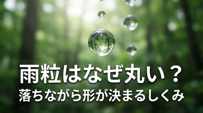 雨粒はなぜ丸い？落ちながら形が決まるしくみとは