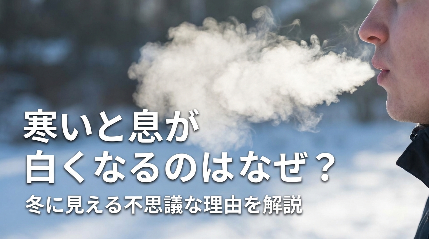 寒いと息が白くなるのはなぜ？冬に見える不思議な理由を解説