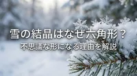 雪の結晶はなぜ六角形？不思議な形になる理由を解説