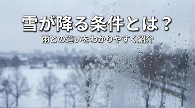 雪が降る条件とは？雨との違いをわかりやすく紹介