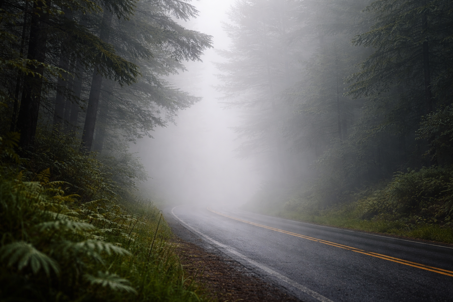 霧ができる仕組みは「冷える」「湿る」「混ざる」の組み合わせです
