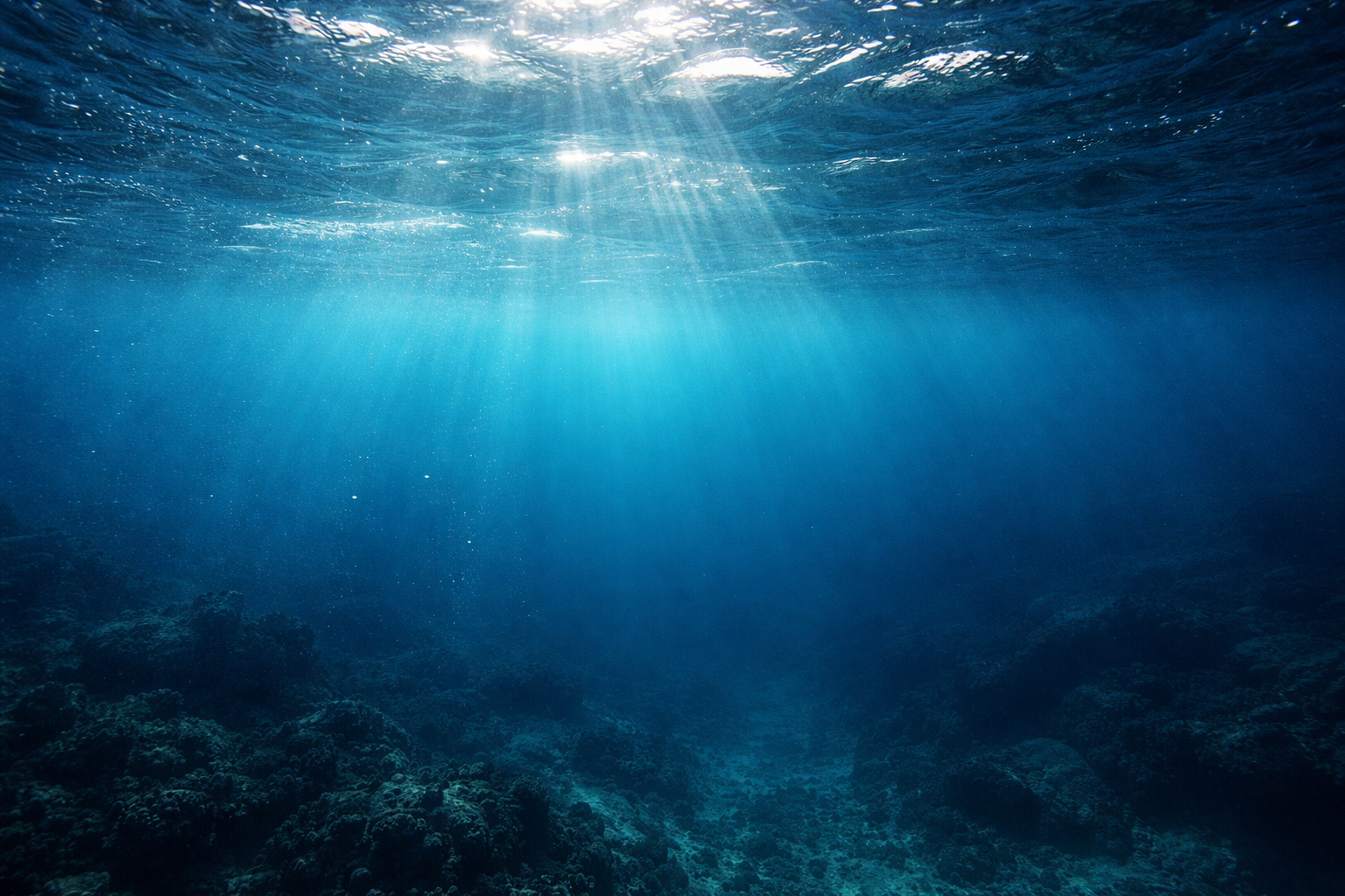 海の中が寒いのは「光が届かない深さ」と「混ざりにくい層」があるからです