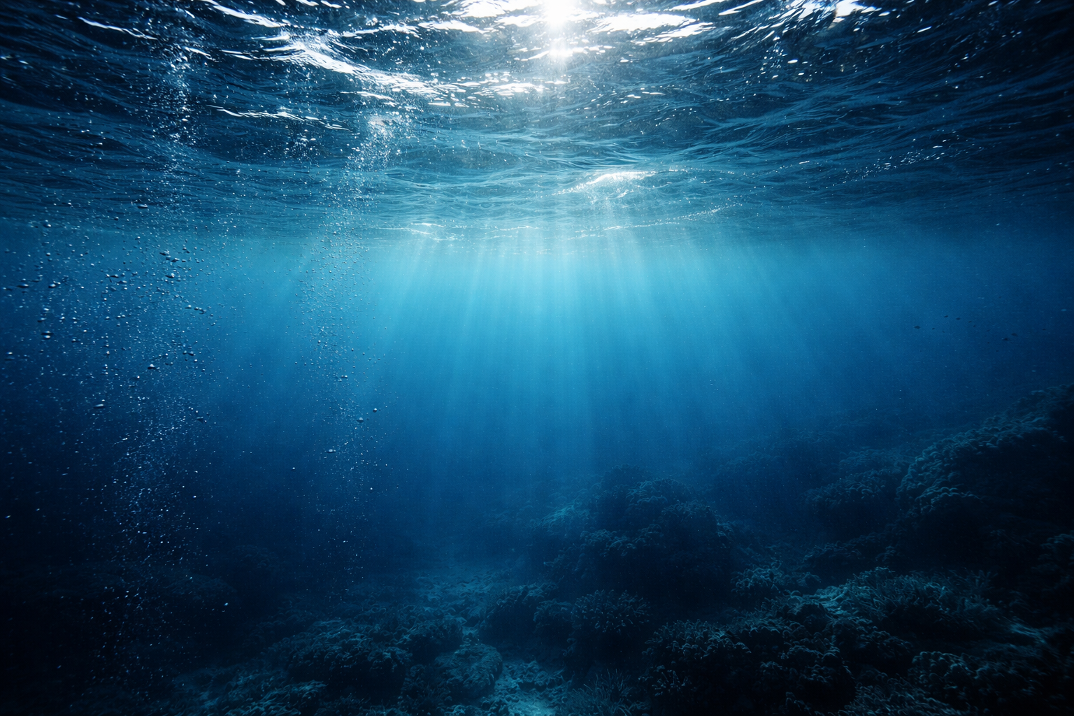 海の温度が変わる様子を、身近な場面で確かめます